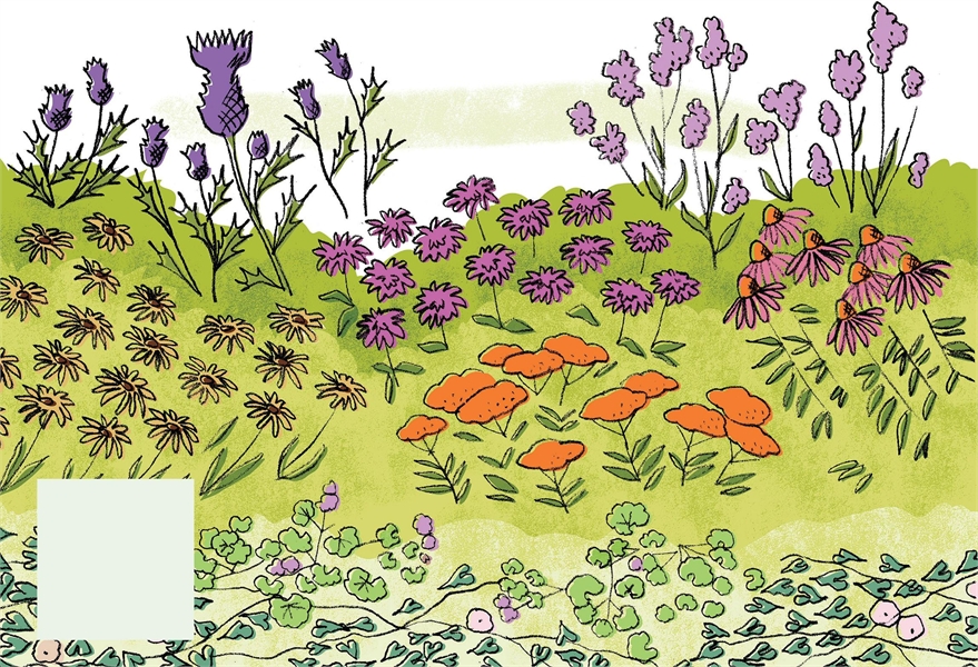 Image for article: A Handy Guide To Weed Cont...