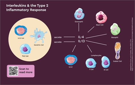 Type 2 Inflammation