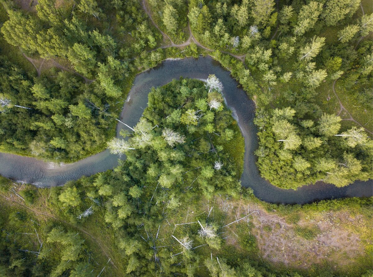 Flat Creek begins high in the Teton Mountains before flowing down Granite Canyon and eventually into the ranch. As a kid, I'd often innertube down the creek, floating next to baby moose out for an afternoon swim.