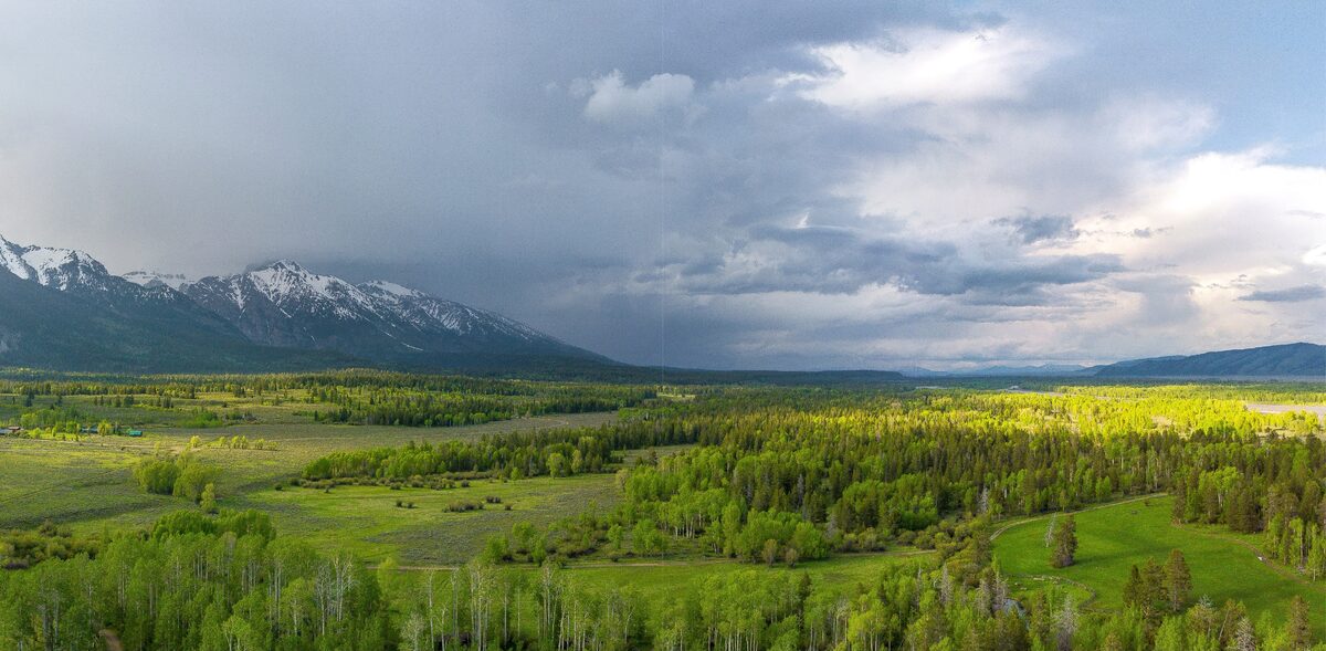 In the springtime, the ranch and surrounding Jackson Hole valley erupt in multiple tones of vibrant green.