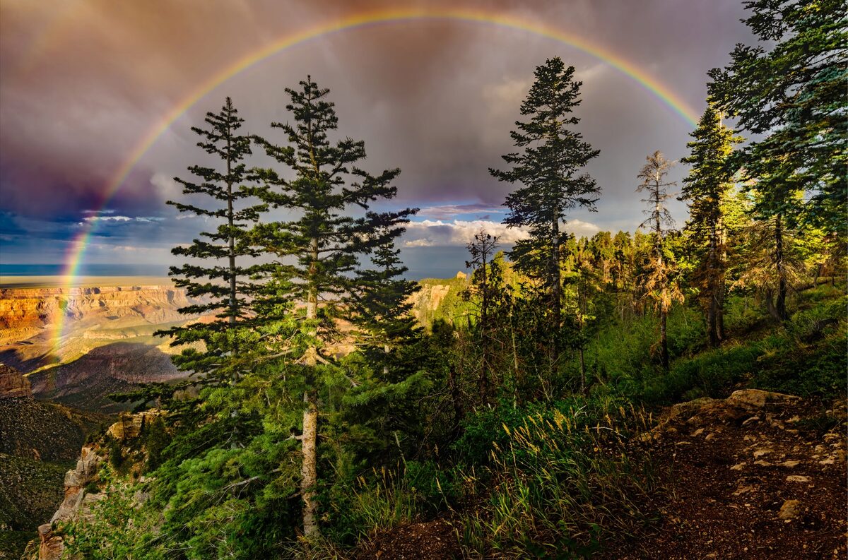 Full Rainbow, Vista Encantada, Grand Canyon. My workshop group watched this rainbow form and hang in the sky while we sped to the canyon rim for a better view. Fortunately, it hung in there long enough for us to make it to the first viewpoint on the Cape Royal Road, Vista Encantada.