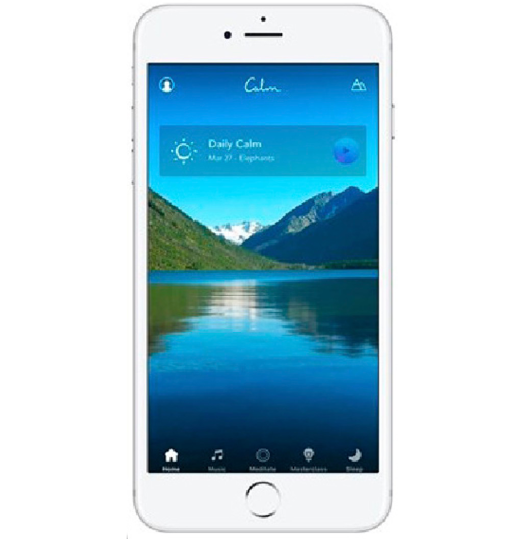 <span style="font-weight: 700;">3. Calm App</span> (free, <a href="http://calm.com" class="reflow-link" target="_blank">calm.com</a>).