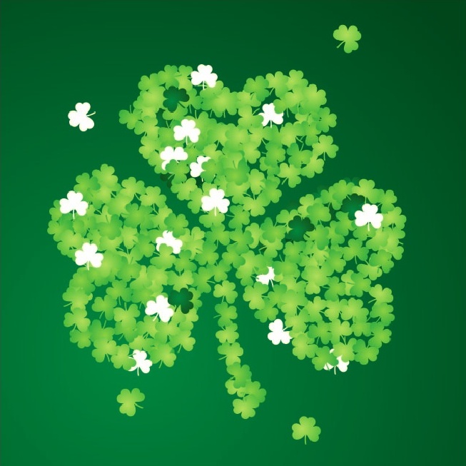 a green clover with white flowers