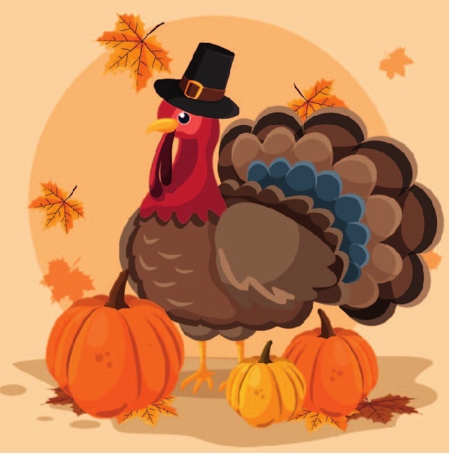 a turkey with a hat and pumpkins